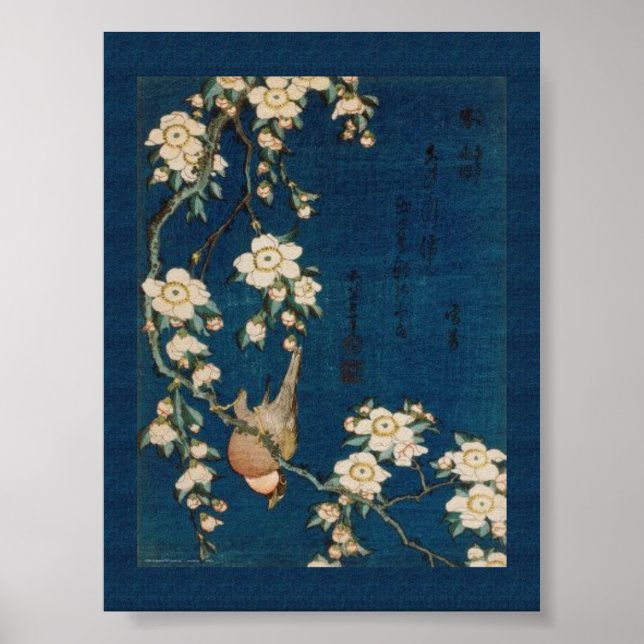 Poster Katsushika Hokusai 葛 飾 北 Goldfinch et Cherry Tree (Devant)