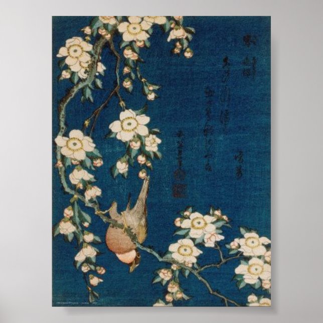 Poster Katsushika Hokusai 葛 飾 北 Goldfinch et Cherry Tree (Devant)