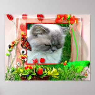 Poster Katze1 für Lilo