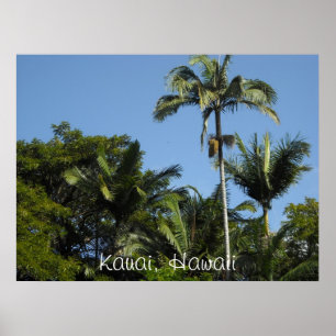 Poster Kauai, Hawaï