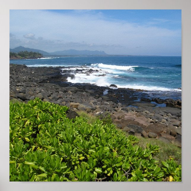 Poster Kauai succulents 2 (Devant)