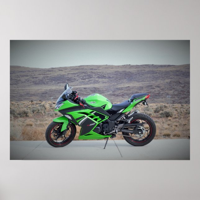 Poster Kawasaki Ninja 300 (Devant)