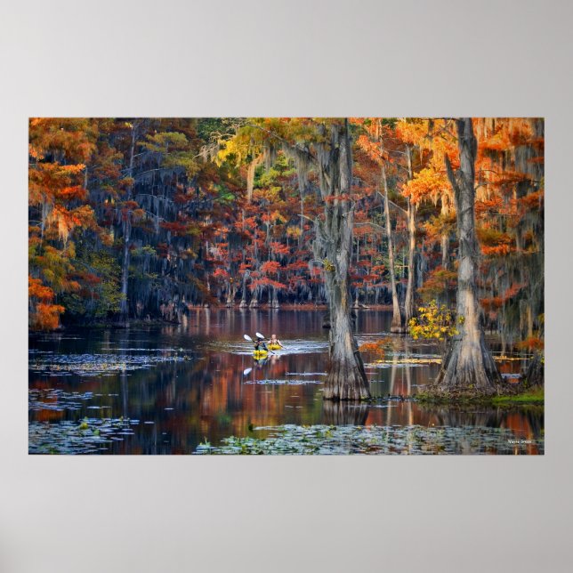 Poster Kayaking - Lac Caddo, Texas - Automne (Devant)