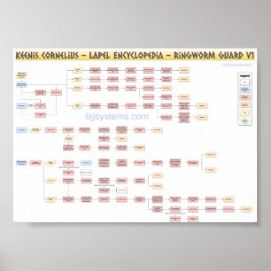 Poster Keenan Cornelius - Ringworm Guard - Flowchart v1