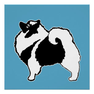 Poster Keeshond Graphics - Cute Original Chig Art