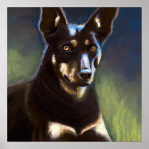 Poster Kelpie australienne - Portrait de chien
