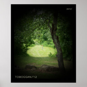 Poster Kensington Toboggan #12