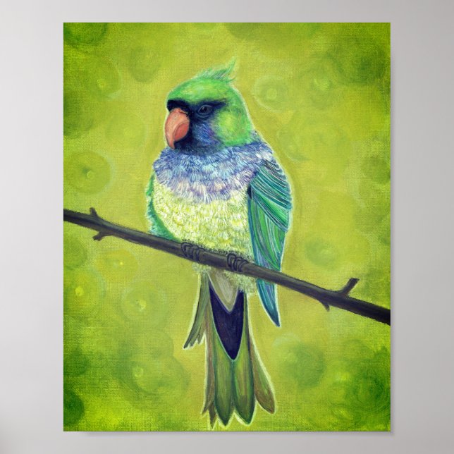 Poster Kesha (Devant)