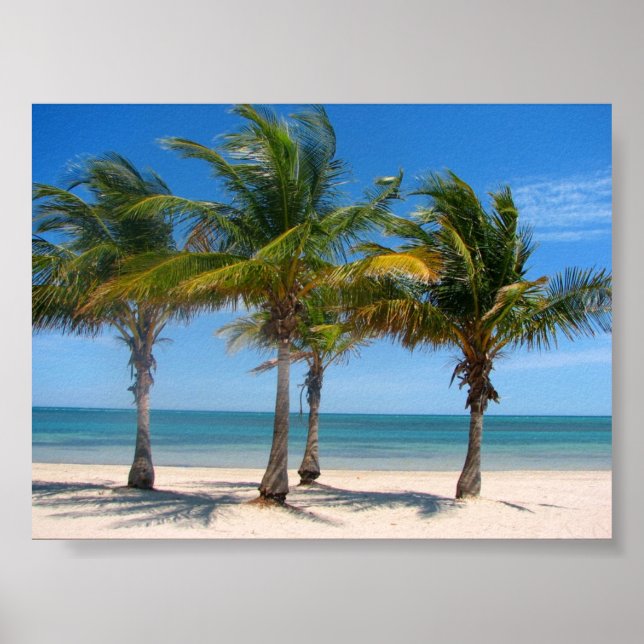 Poster Key Biscayne palmes (Devant)