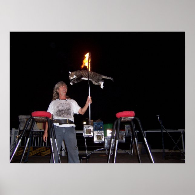 Poster Key West Cat Man (Devant)