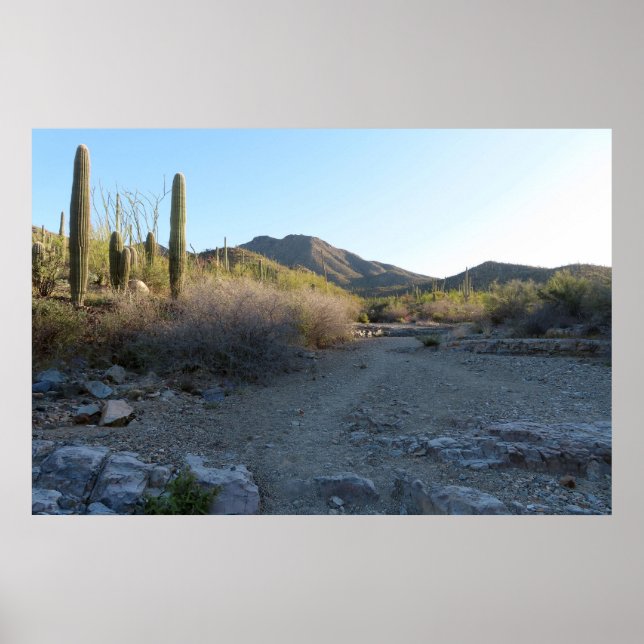 Poster King Canyon Trail I (Devant)