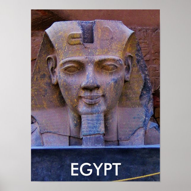 Poster King Tut (Devant)