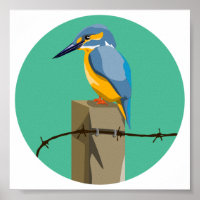 Kingfisher