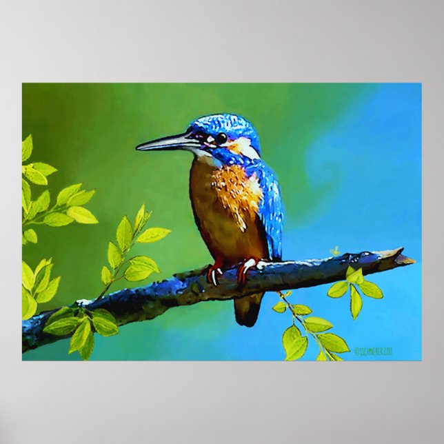 Poster Kingfisher (Devant)