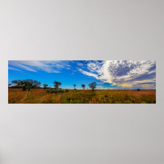 Poster Kissimmee prairie preserve state park, Florida