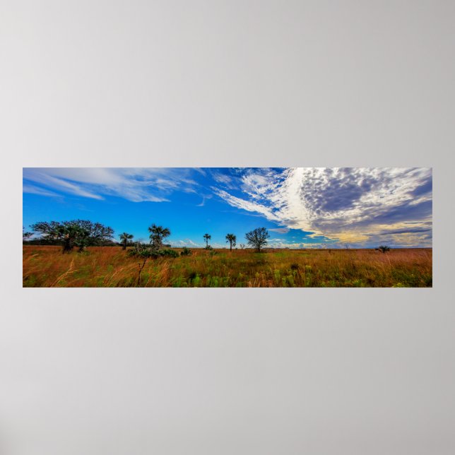 Poster Kissimmee prairie preserve state park, Florida (Devant)