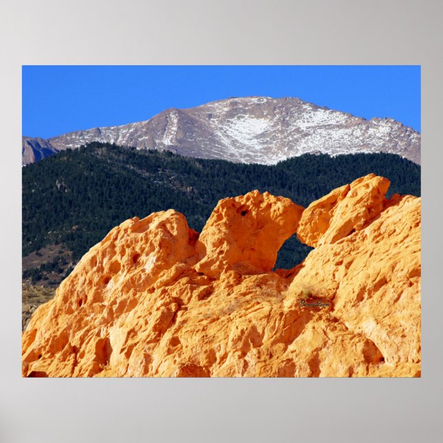 Poster Kissing Camels, Jardin des Dieux (Devant)