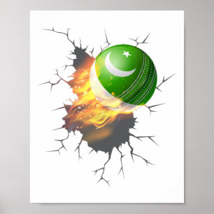 Poster Kit de supporteurs de cricket pakistanais Cadeau P