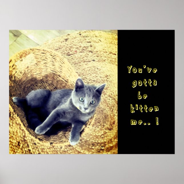 Poster Kitten  (Devant)