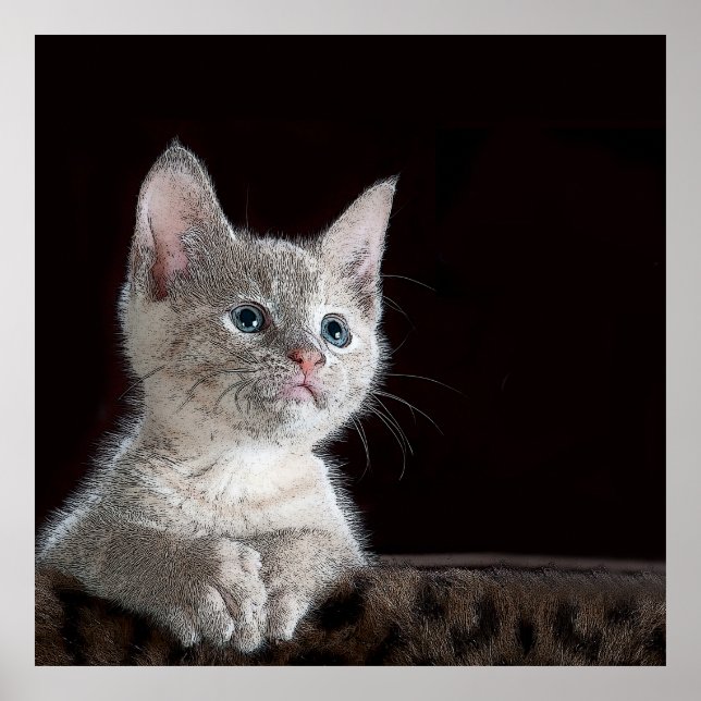 Poster Kitten (Devant)