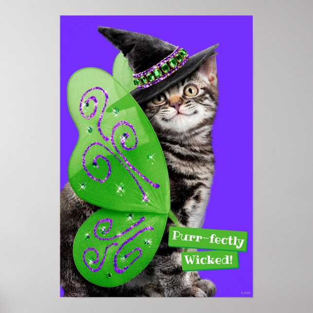 Poster Kitten Witch Fairy (Devant)