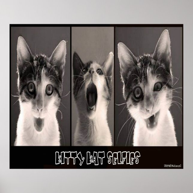 Poster Kitty Kat Selfies (Devant)