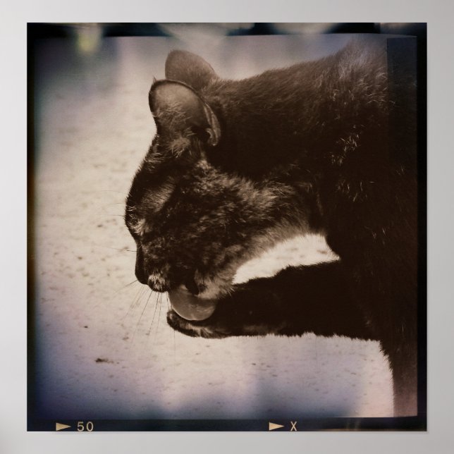 Poster Kitty Sur Film, Art numérique (Devant)