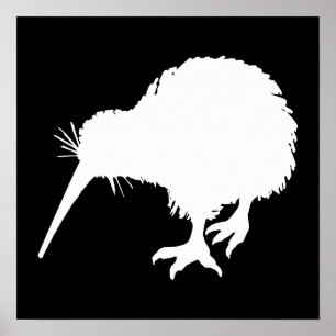 Poster Kiwi Bird