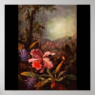Poster-Klassiker/Retro-Martin Johnson Heade 14 Poster