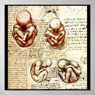 Poster-Klassiker/Vintage-Leonardo da Vinci 9 Poster