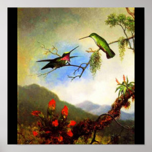 Poster-Klassiker/Vintage-Martin Johnson Heade 1 Poster