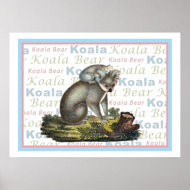 Poster Koala Bear et Baby (Devant)