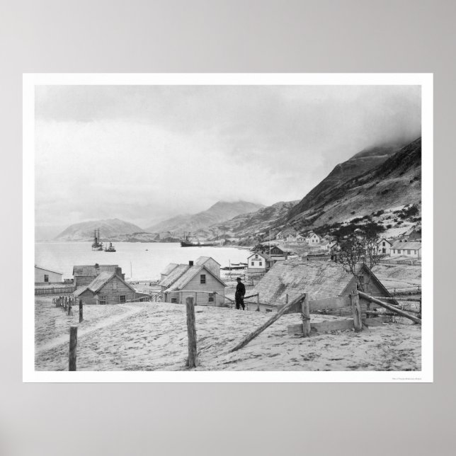 Poster Kodiak, Alaska Panorama 1909 (Devant)