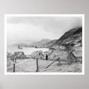 Poster Kodiak, panorama 1909 de l'Alaska