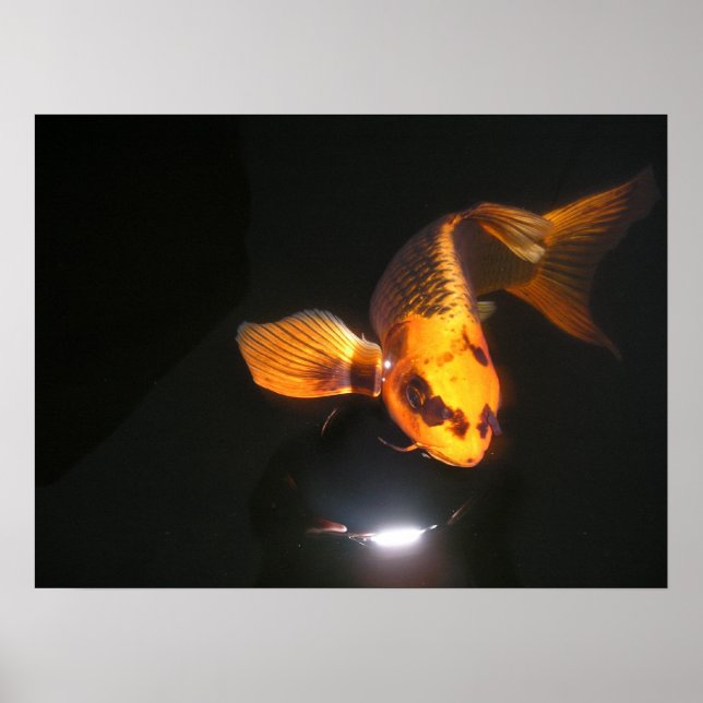 Poster Koi Hoover (Devant)