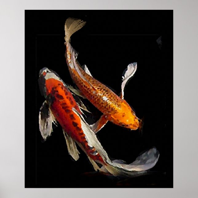 Poster Koi Pair étonnant (Devant)