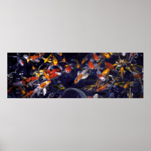 POSTER KOI POISSON SUR DÉBORDANT