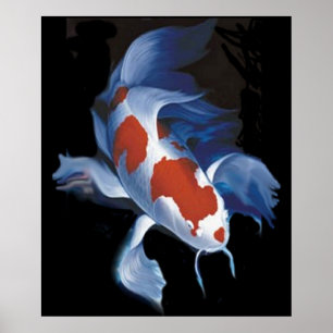 Poster Koi puissant