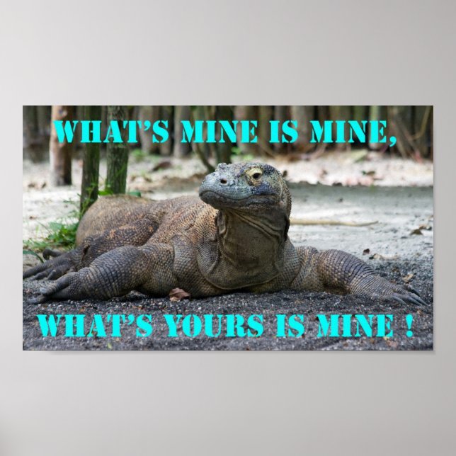 Poster Komodo Dragon (Devant)