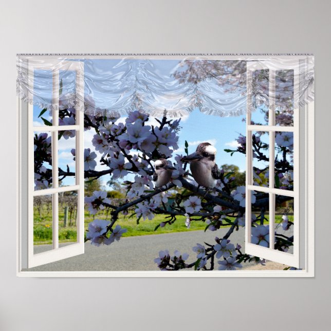 Poster Kookaburras Dans Ma Fenêtre, (Devant)