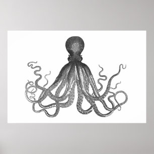 Poster Kraken - Black Giant Octopus / Cthulu