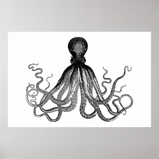 Poster Kraken - Octopus géant noir (extra large) (Devant)