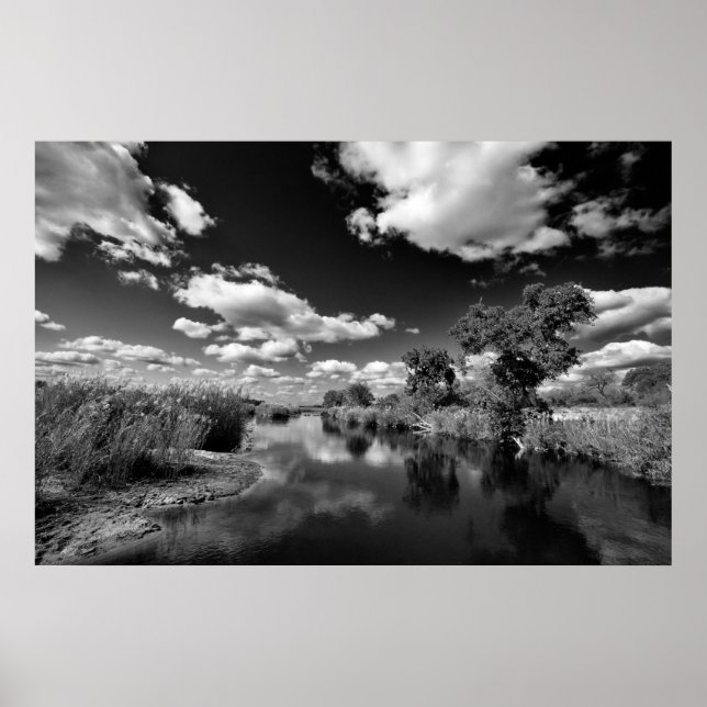 Poster Kruger Quiescence (Devant)