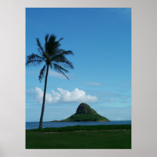 Poster Kualoa 1