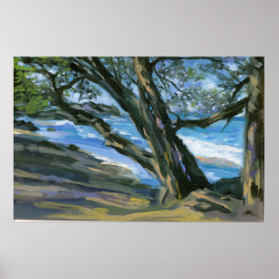 Poster La baie de La Perouse