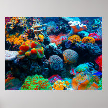 La barrière de corail sous-marine tropicale