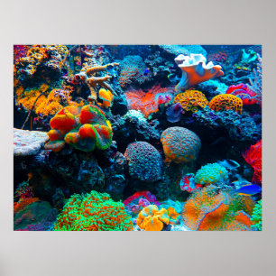 Poster La barrière de corail sous-marine tropicale