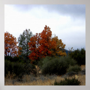 Poster La beauté automnale....