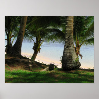 Poster La beauté de Guam