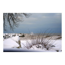 La beauté de l'hiver